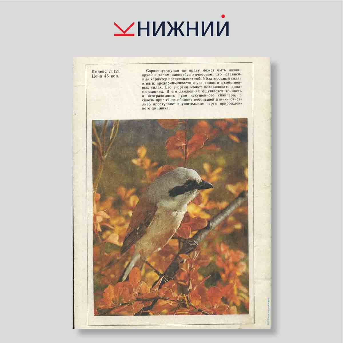 Журнал «Юный натуралист» № 9, Сентябрь 1991