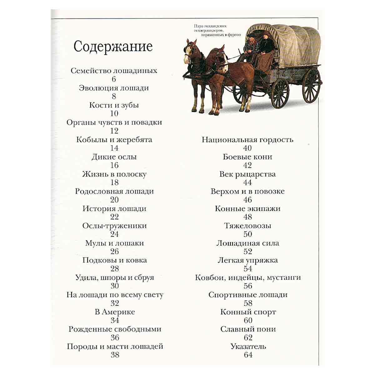 Лошадь