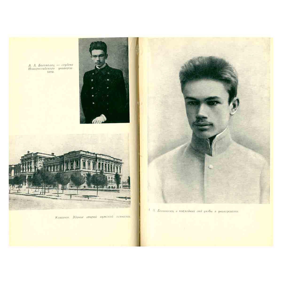 Богомолец