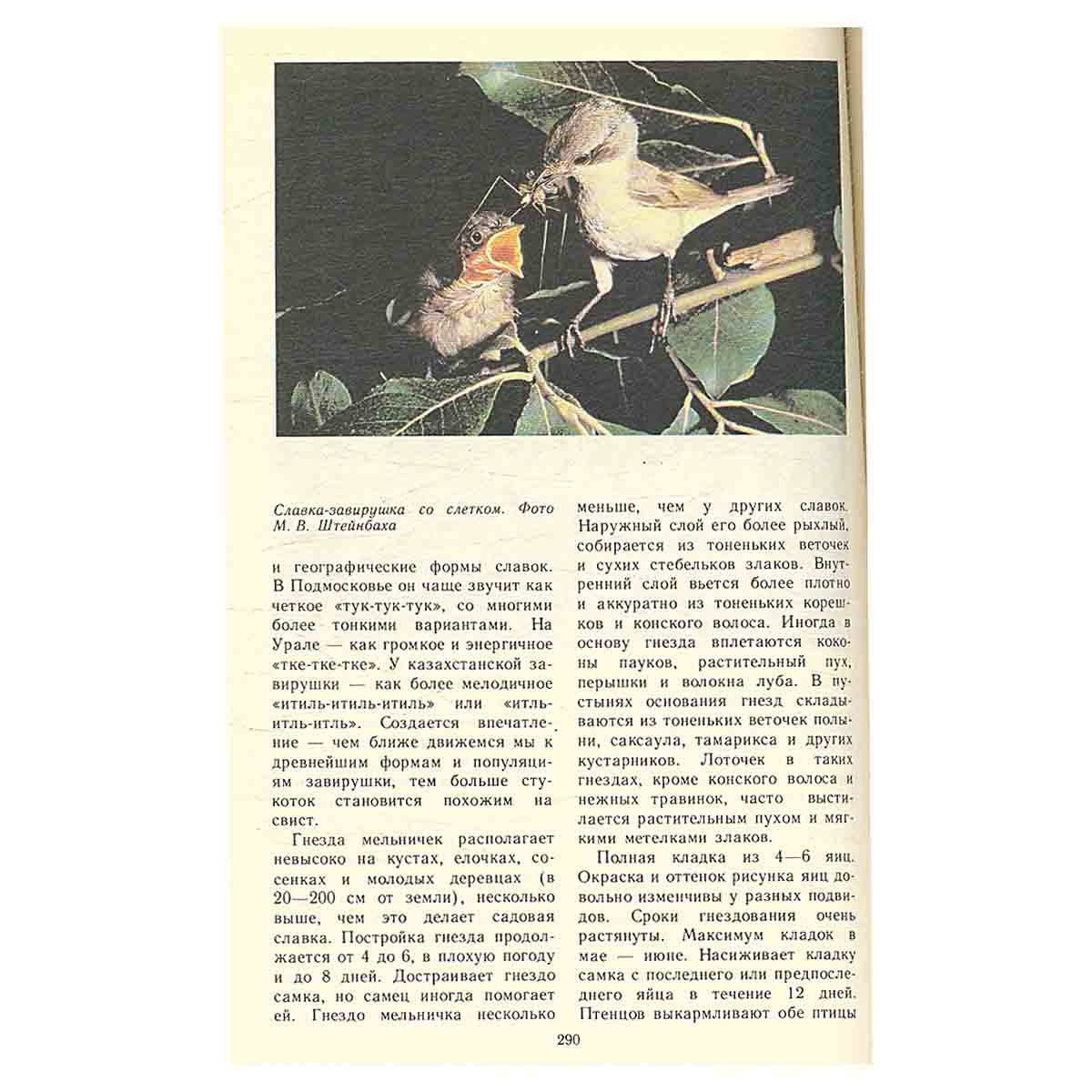Певчие птицы