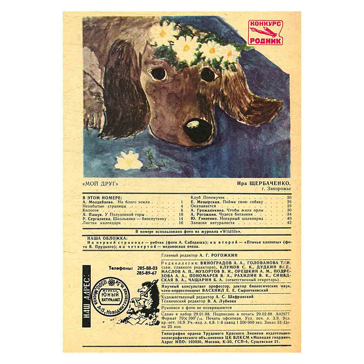 Журнал "Юный натуралист". Выпуск 4/1988 год