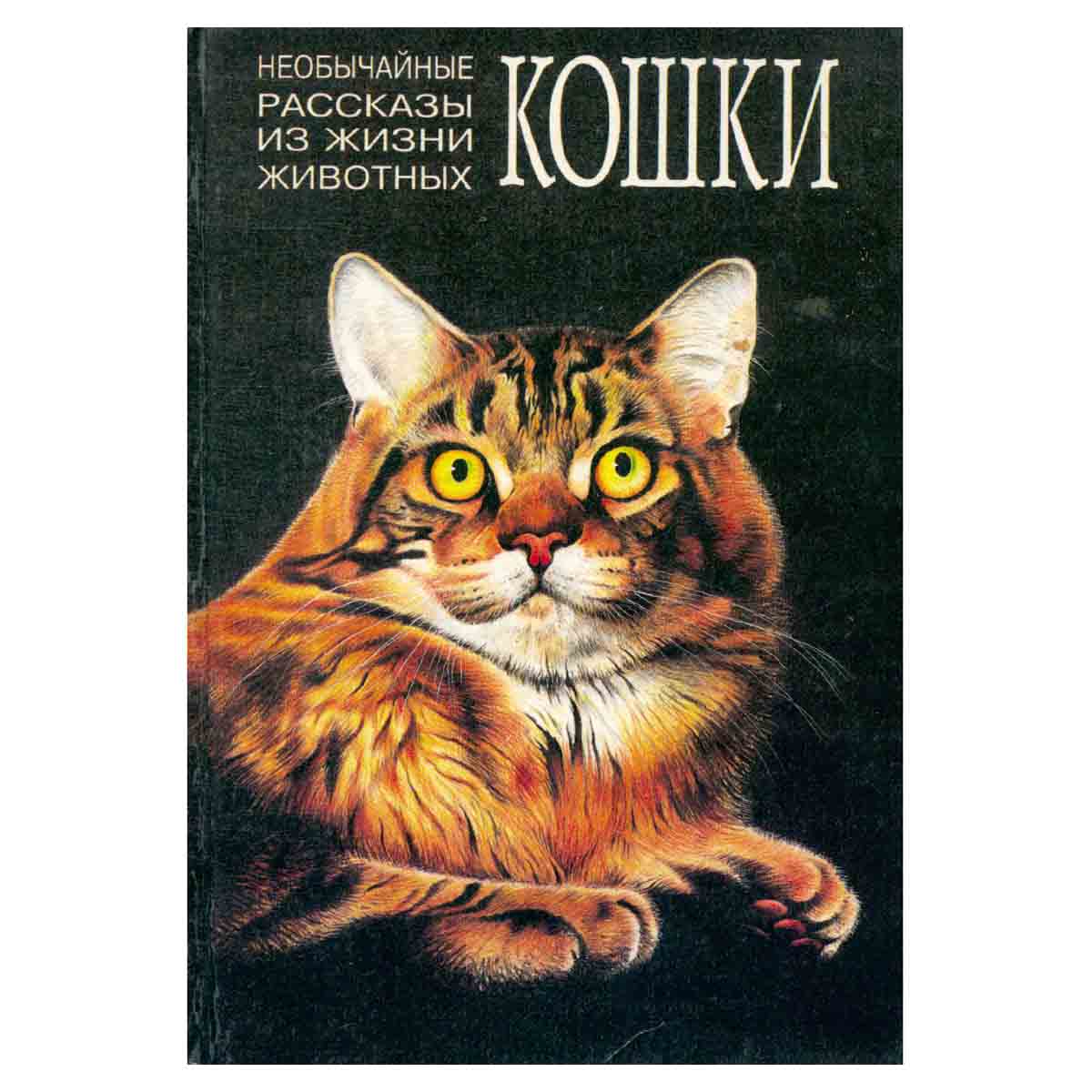 Необычайные рассказы из жизни животных. Кошки. Львы