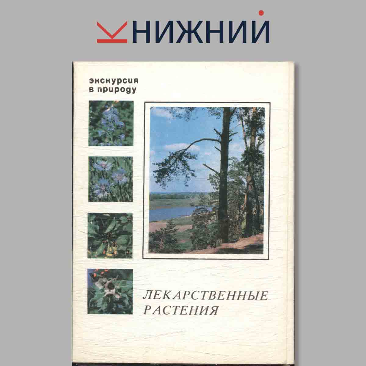 Набор открыток. Экскурсия в природу. Лекарственные растения.