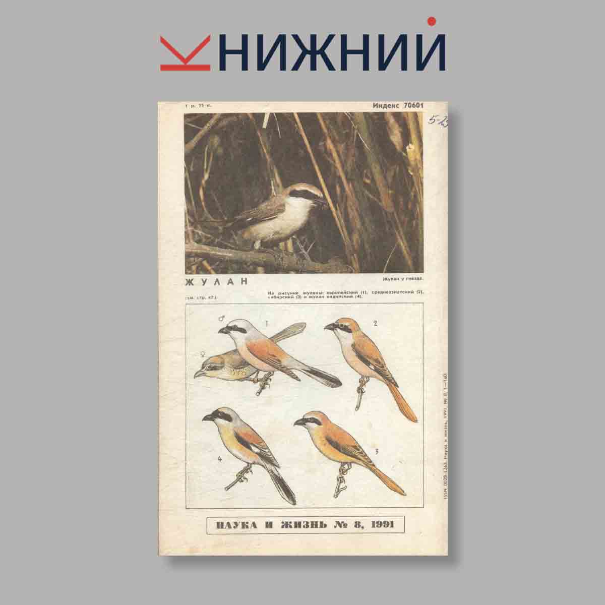 Журнал Наука и жизнь. Выпуск № 8, 1991