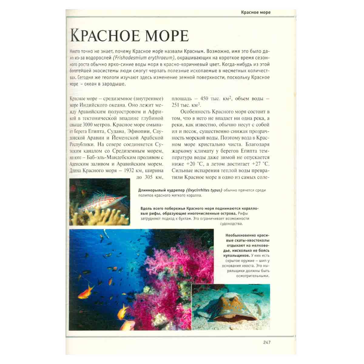 Большая иллюстрированная энциклопедия. В 32-х томах. Том 14-й