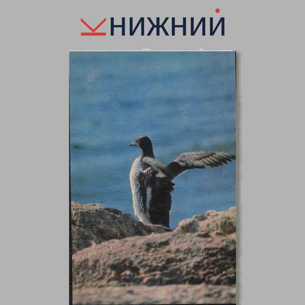 Набор открыток. Остров Тюлений.