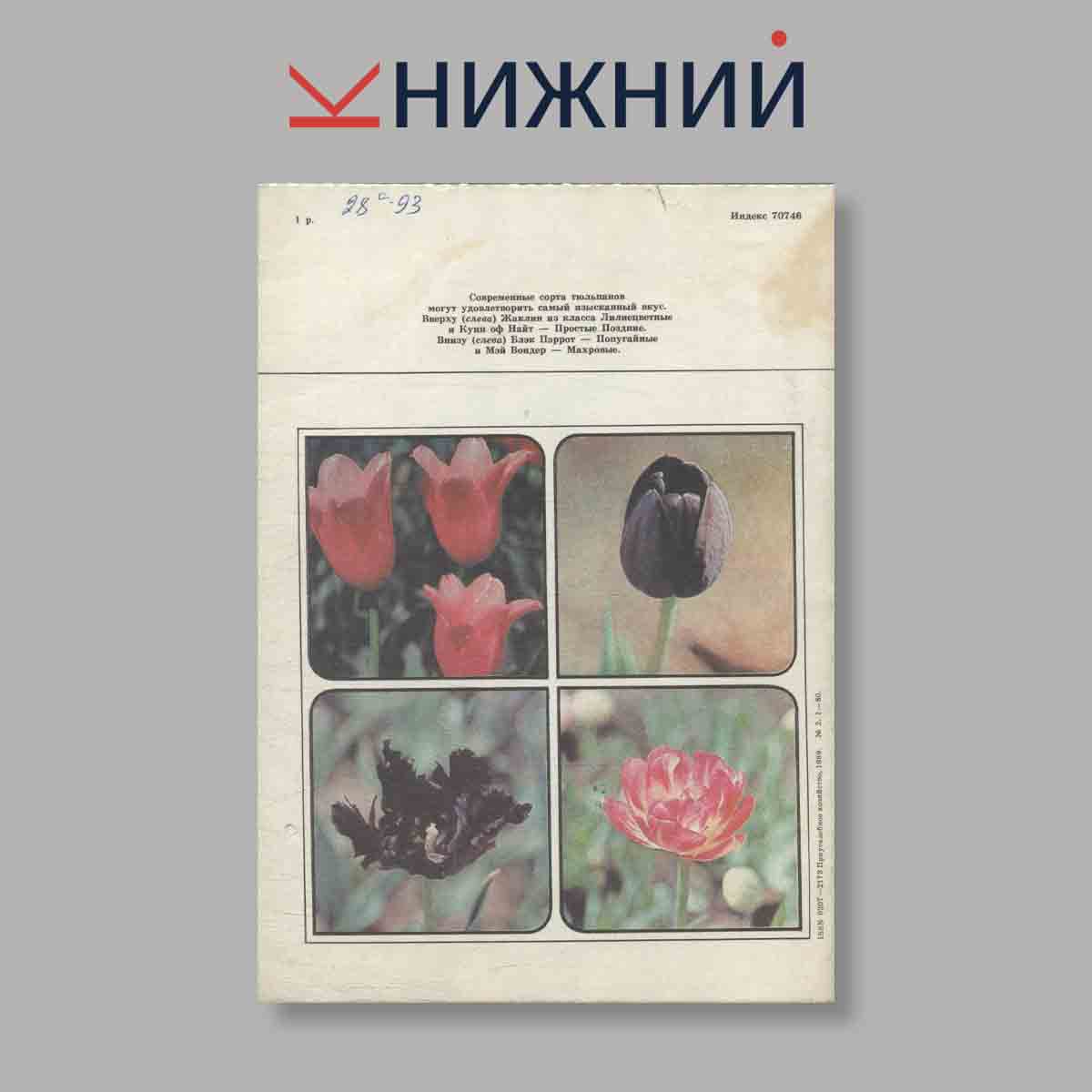 Журнал Приусадебное хозяйство.Выпуск №2 1989 год