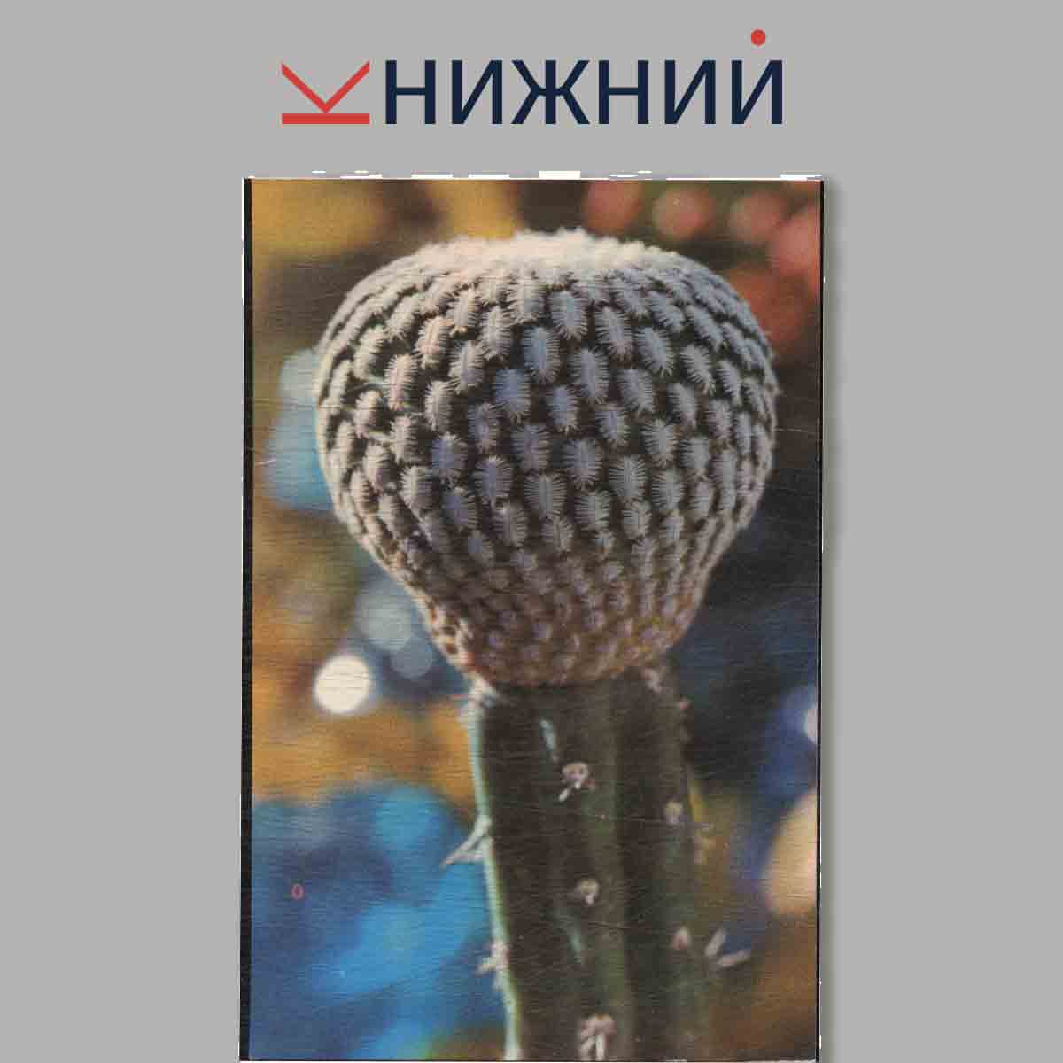 Набор открыток. Домашний сад. Увлечение.