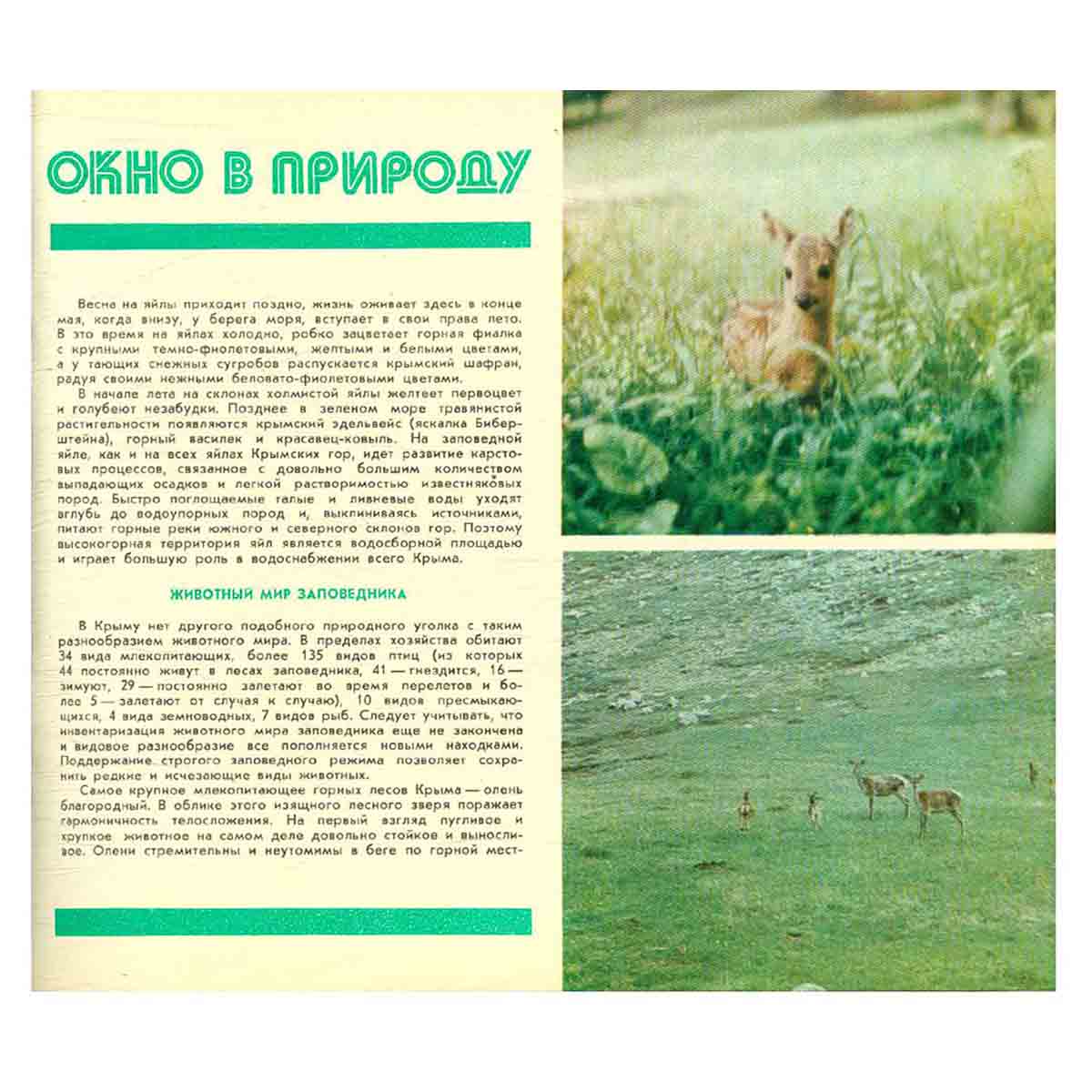 Окно в природу