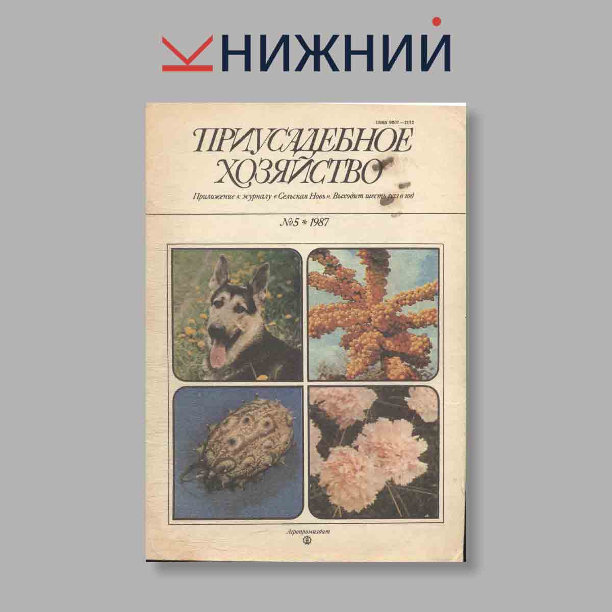 Журнал Приусадебное хозяйство. Выпуск № 5, 1987