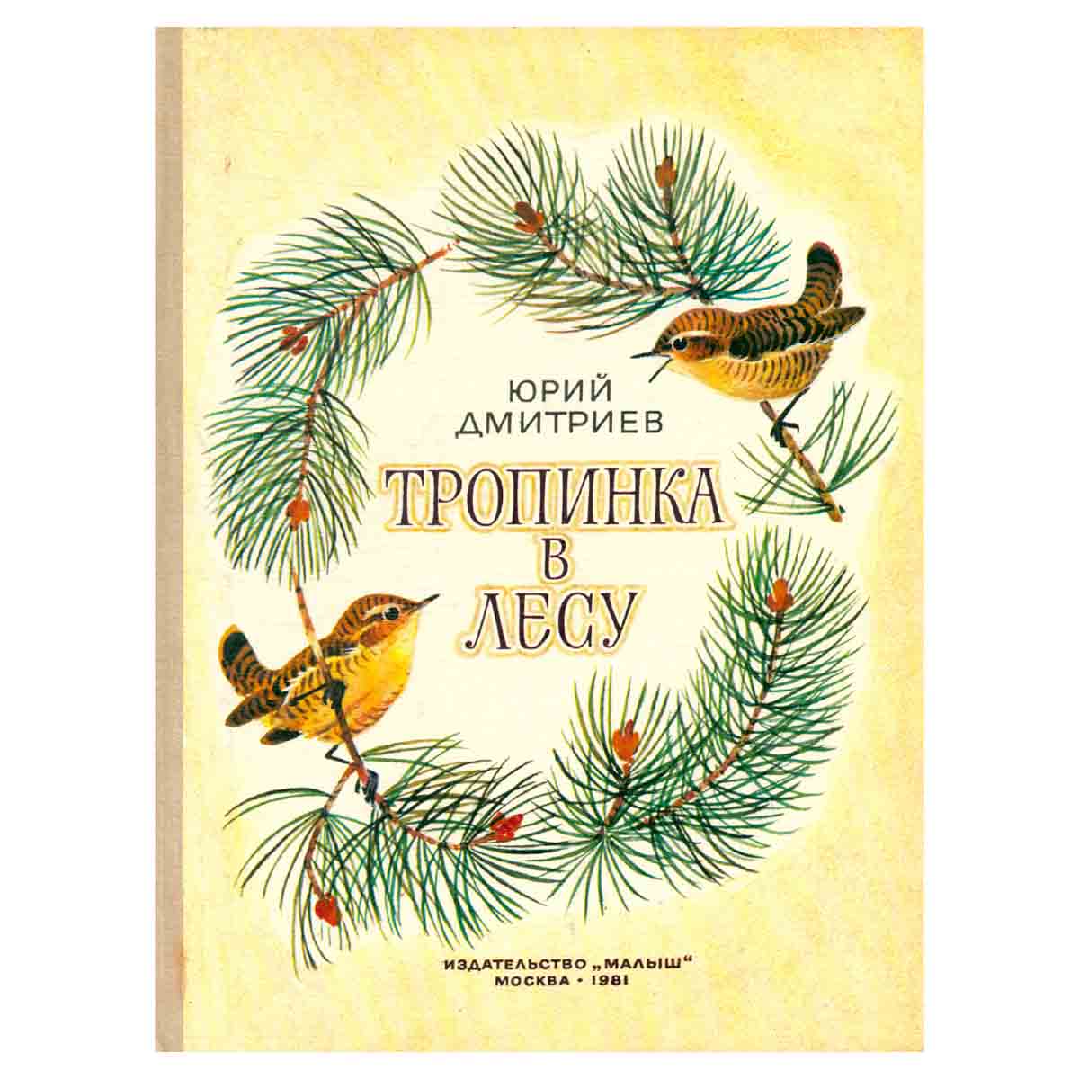 Тропинка в Лесу