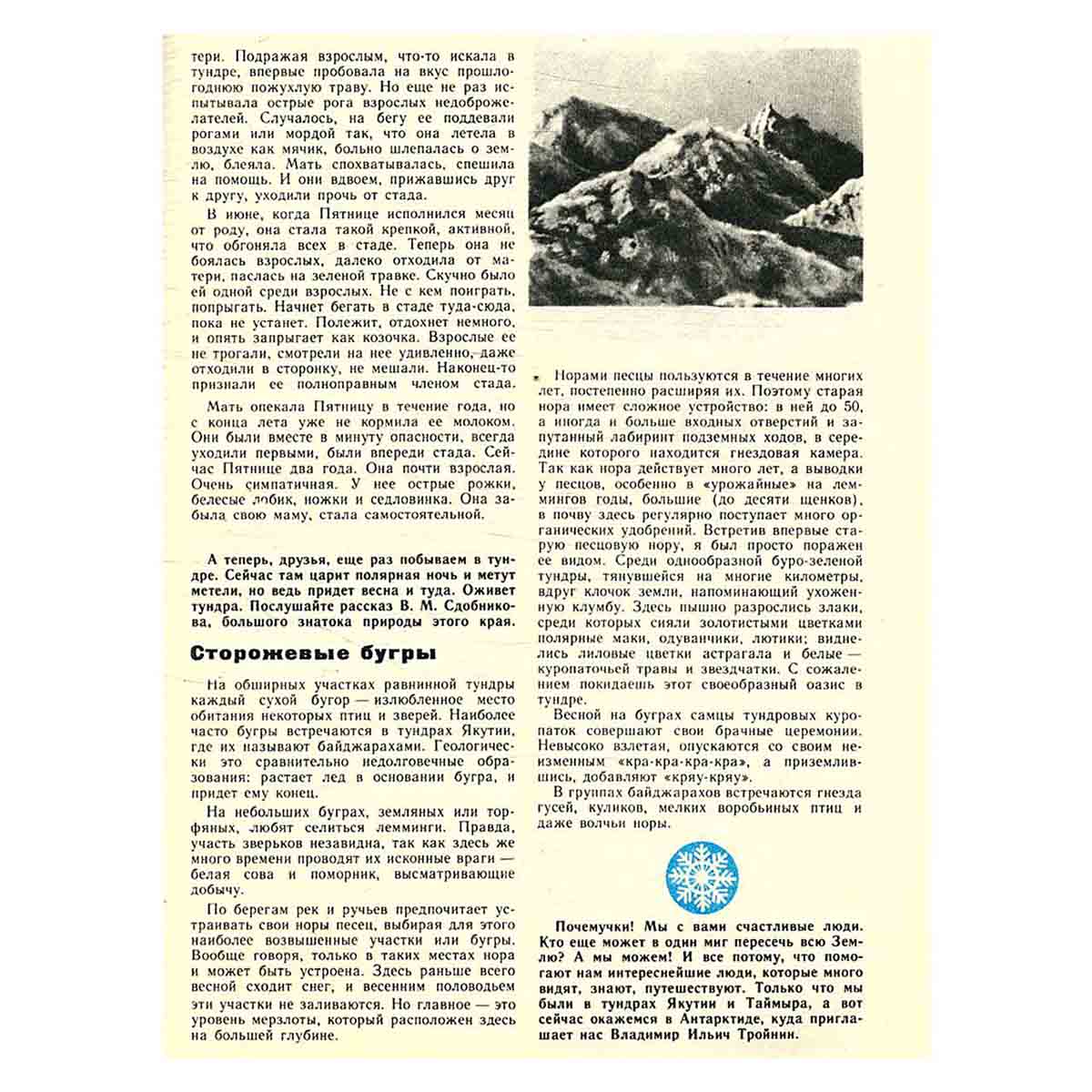 Журнал "Юный натуралист". Выпуск 2 1981 год