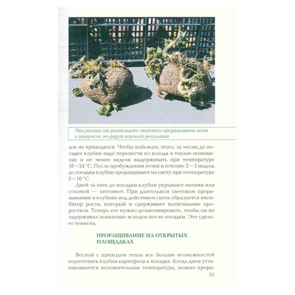 Картофель и корнеплоды