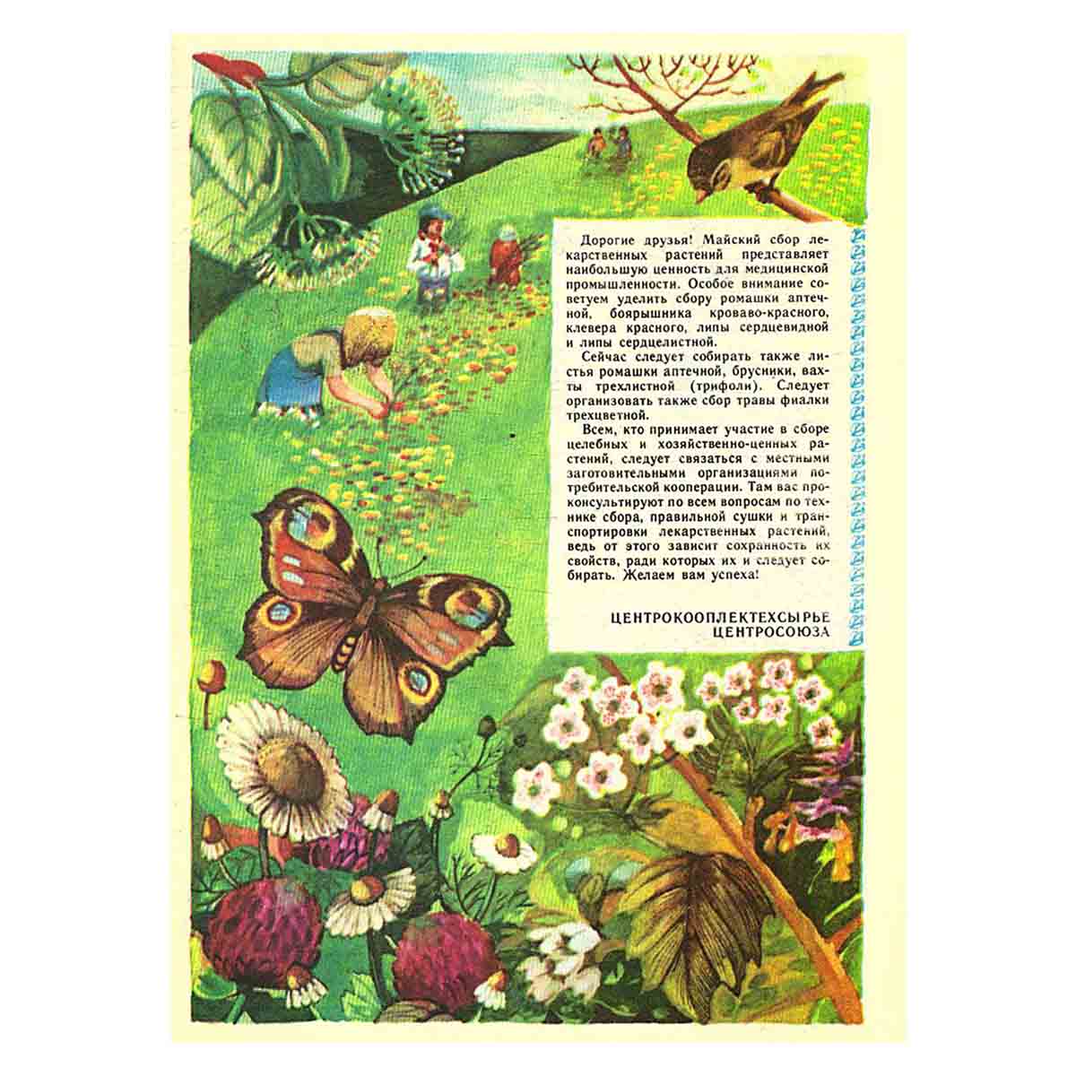 Журнал "Юный натуралист". Выпуск 5 1982 год