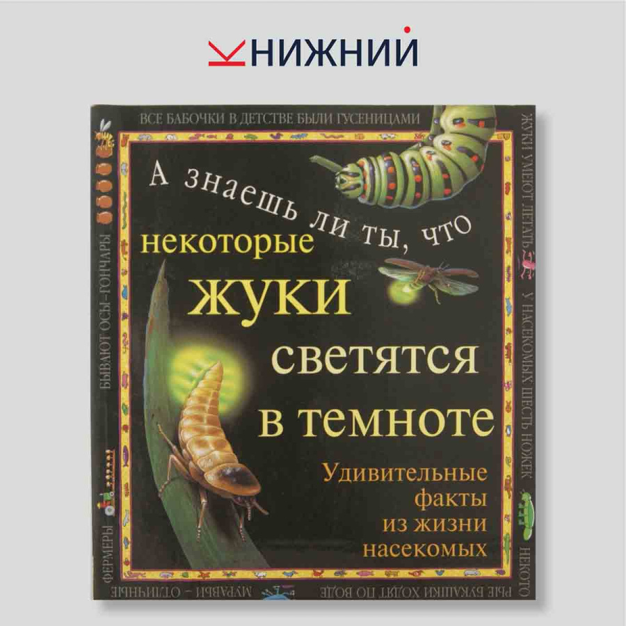 А знаешь ли ты, что некоторые жуки светятся в темноте? Удивительные факты из жизни насекомых