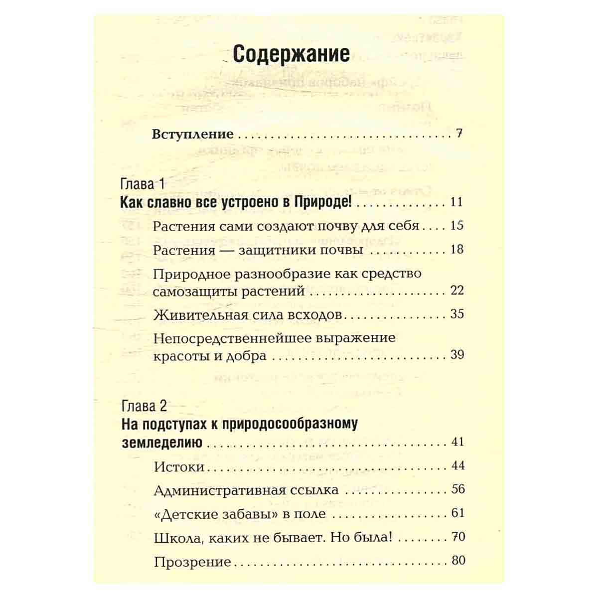 Огород без хлопот