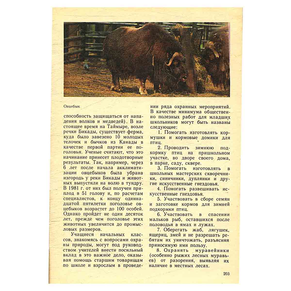 Животный мир нашей Родины
