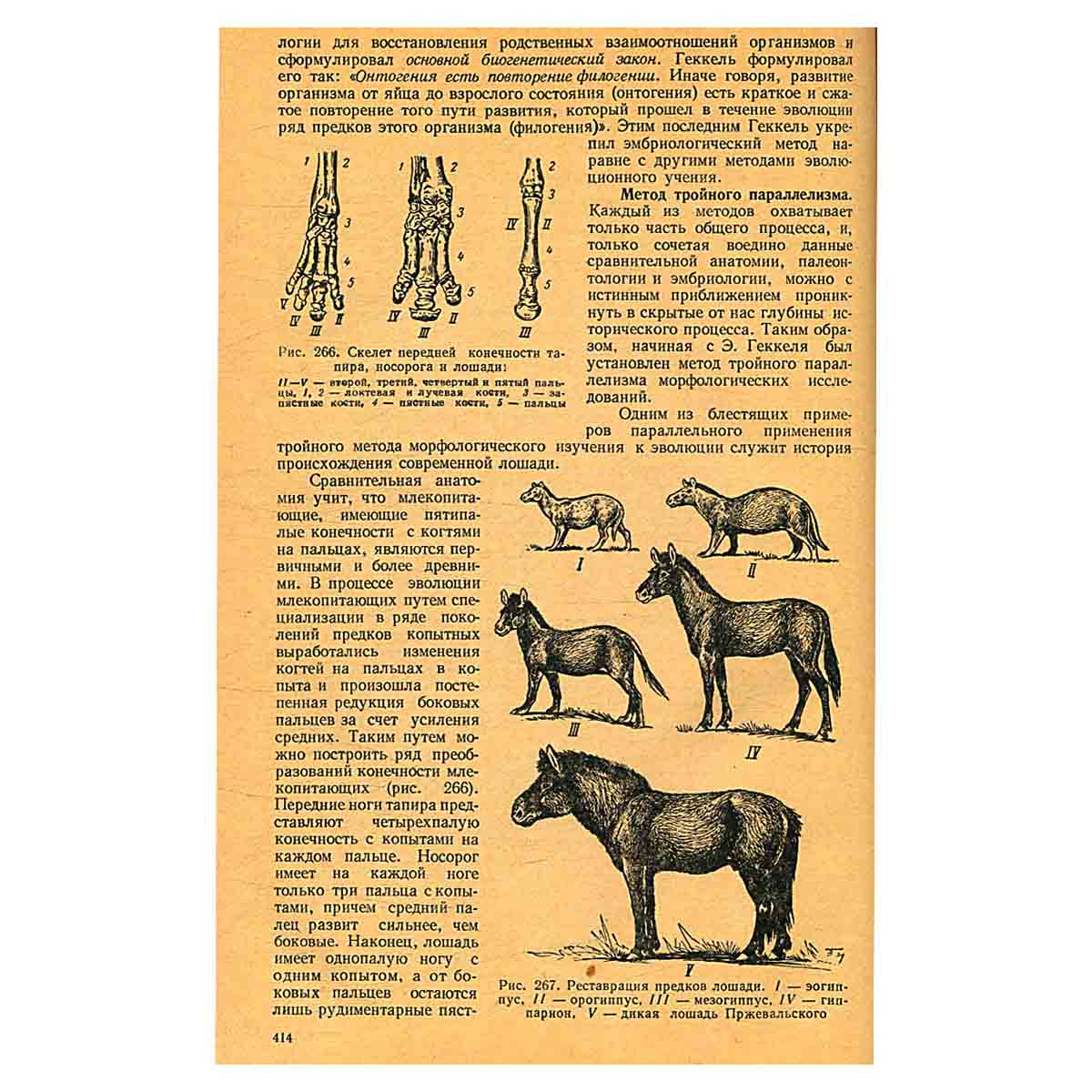 Курс зоологии. В двух томах. Том 2