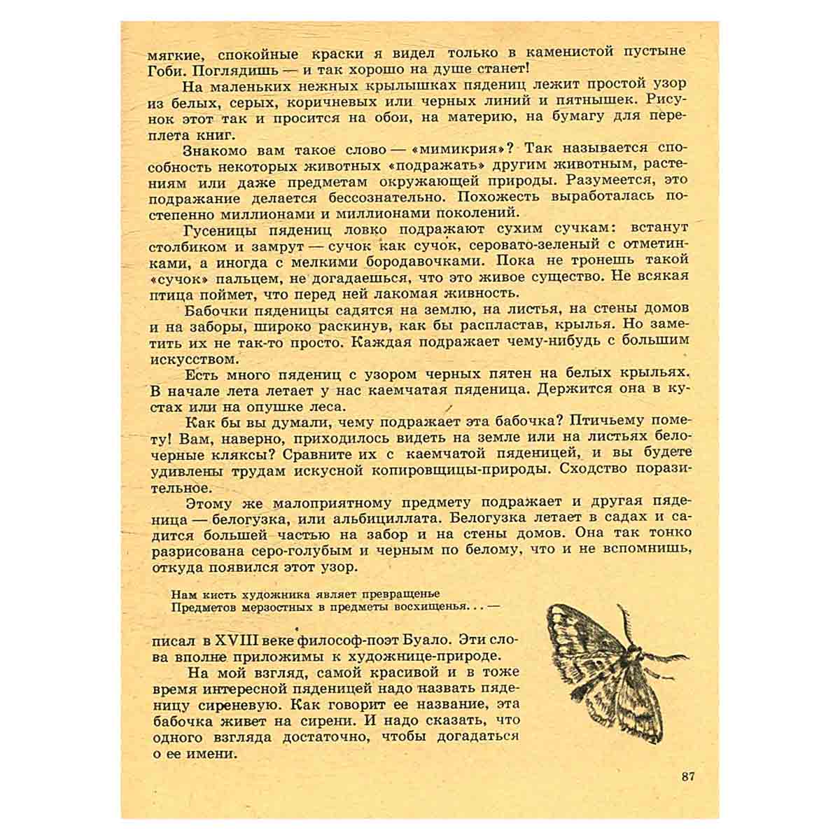 Что такое аскалафус?