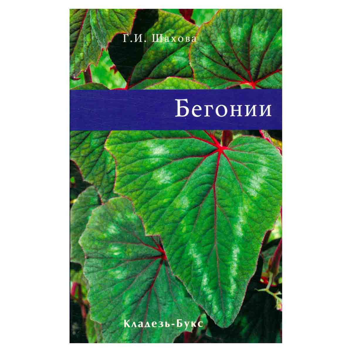Бегонии