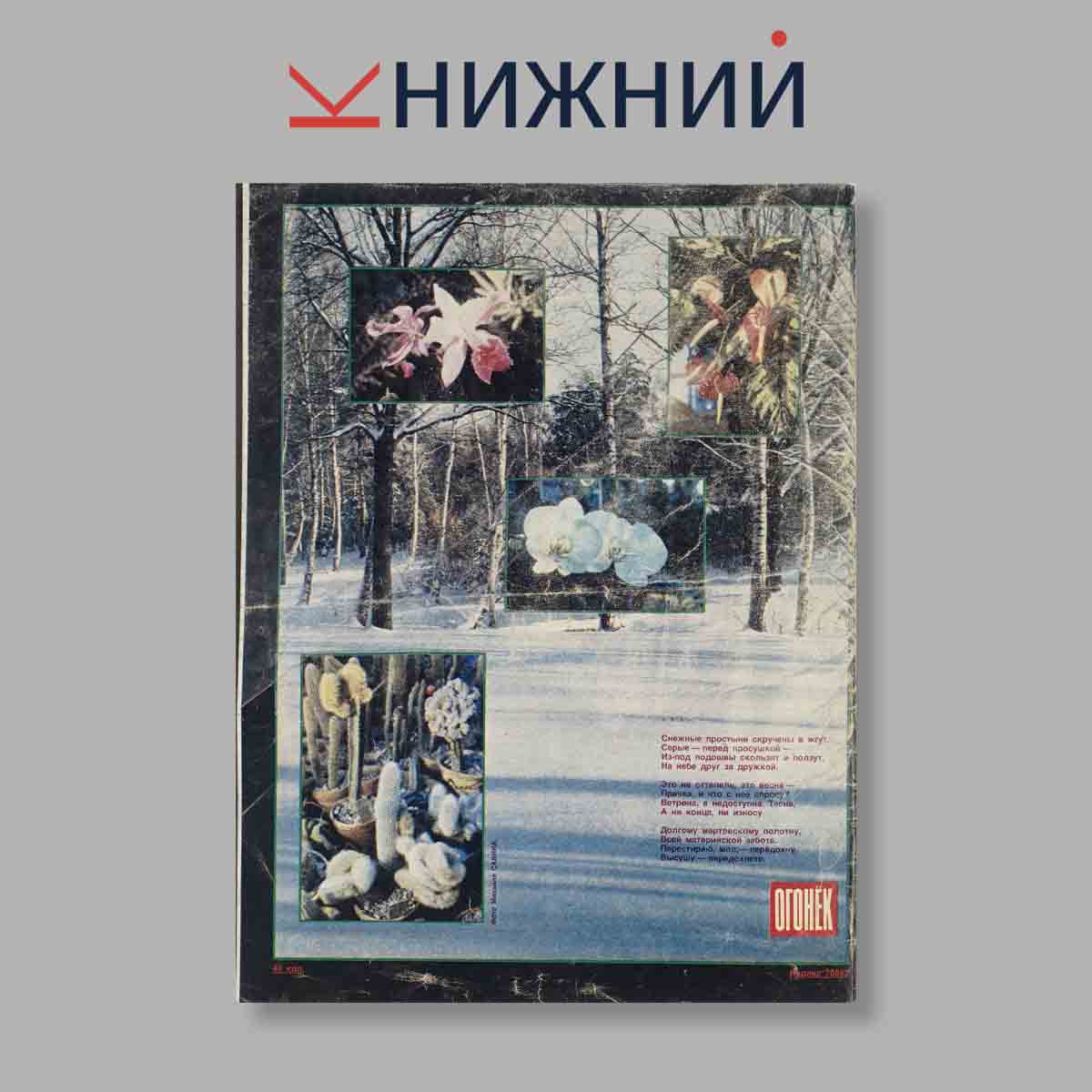 Журнал Огонёк. Выпуск № 8, 1989