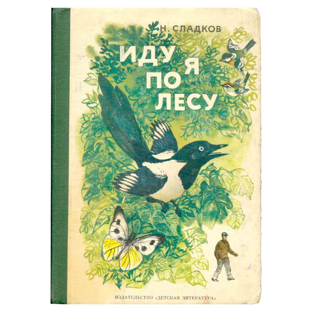Иду я по лесу