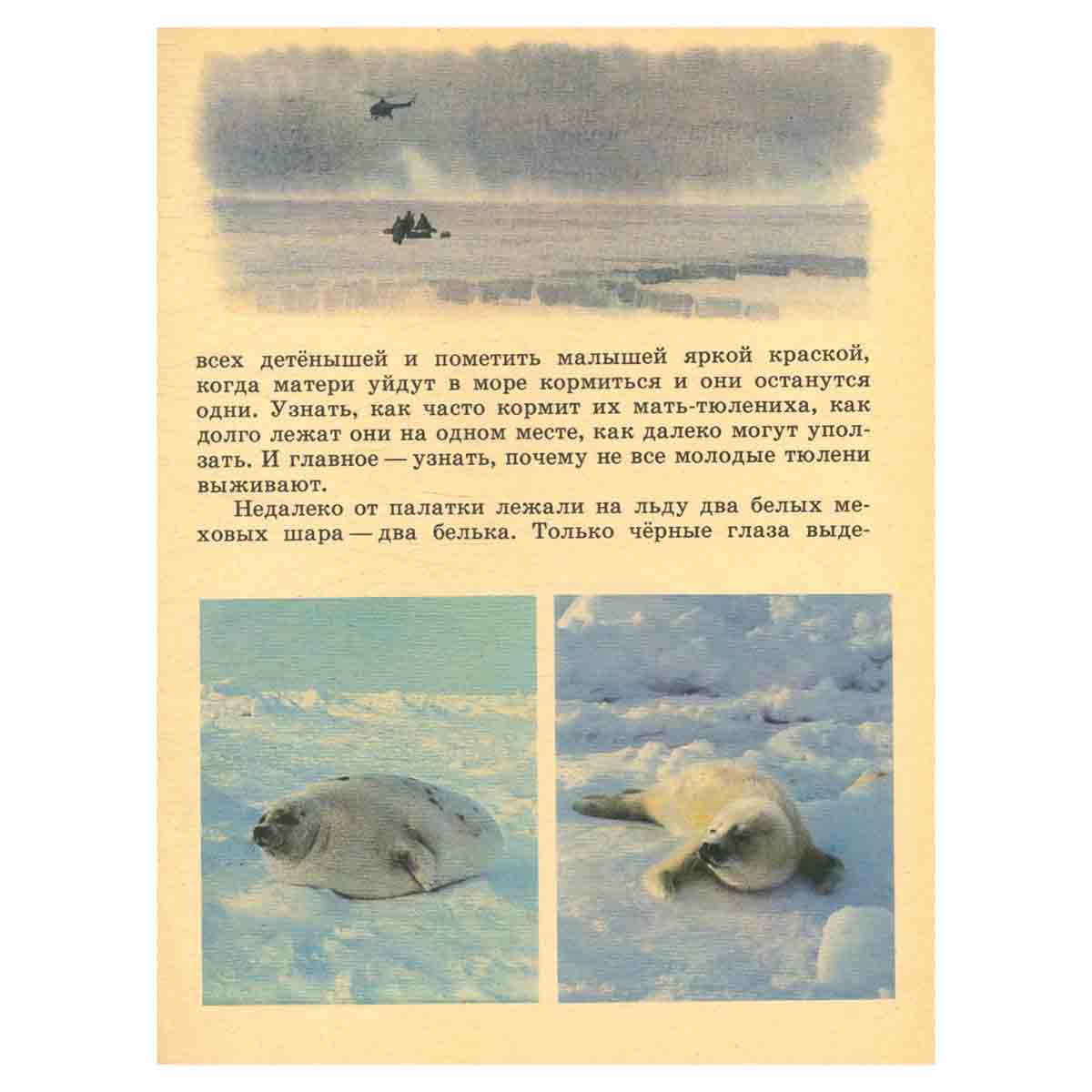 В океане