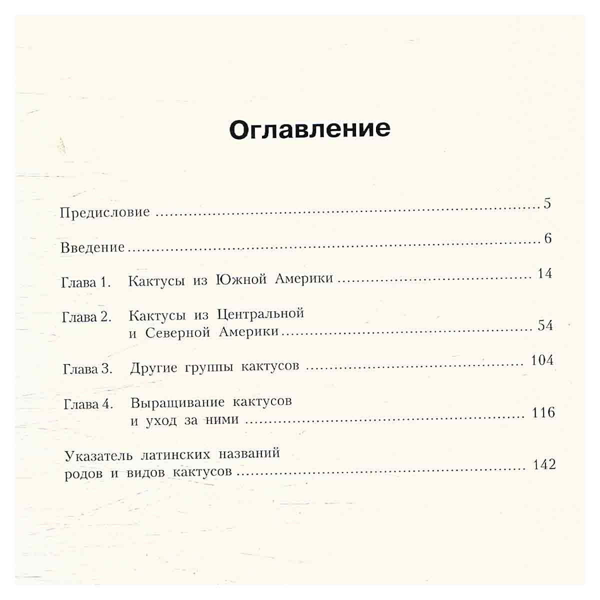 Кактусы