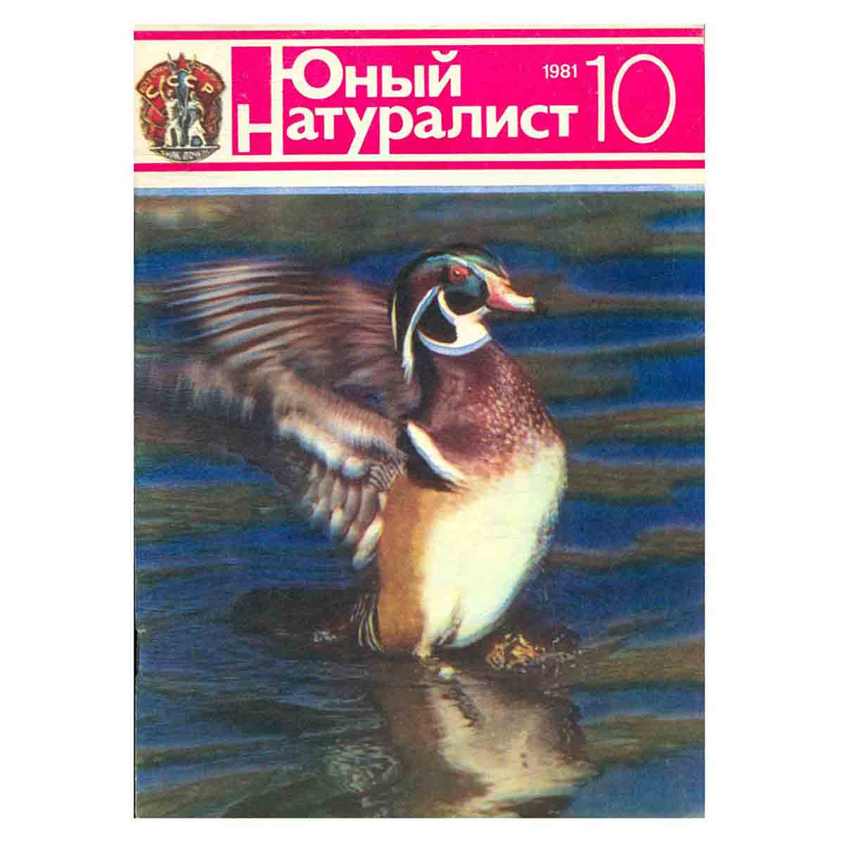 Журнал "Юный натуралист". Выпуск 10 1981 год