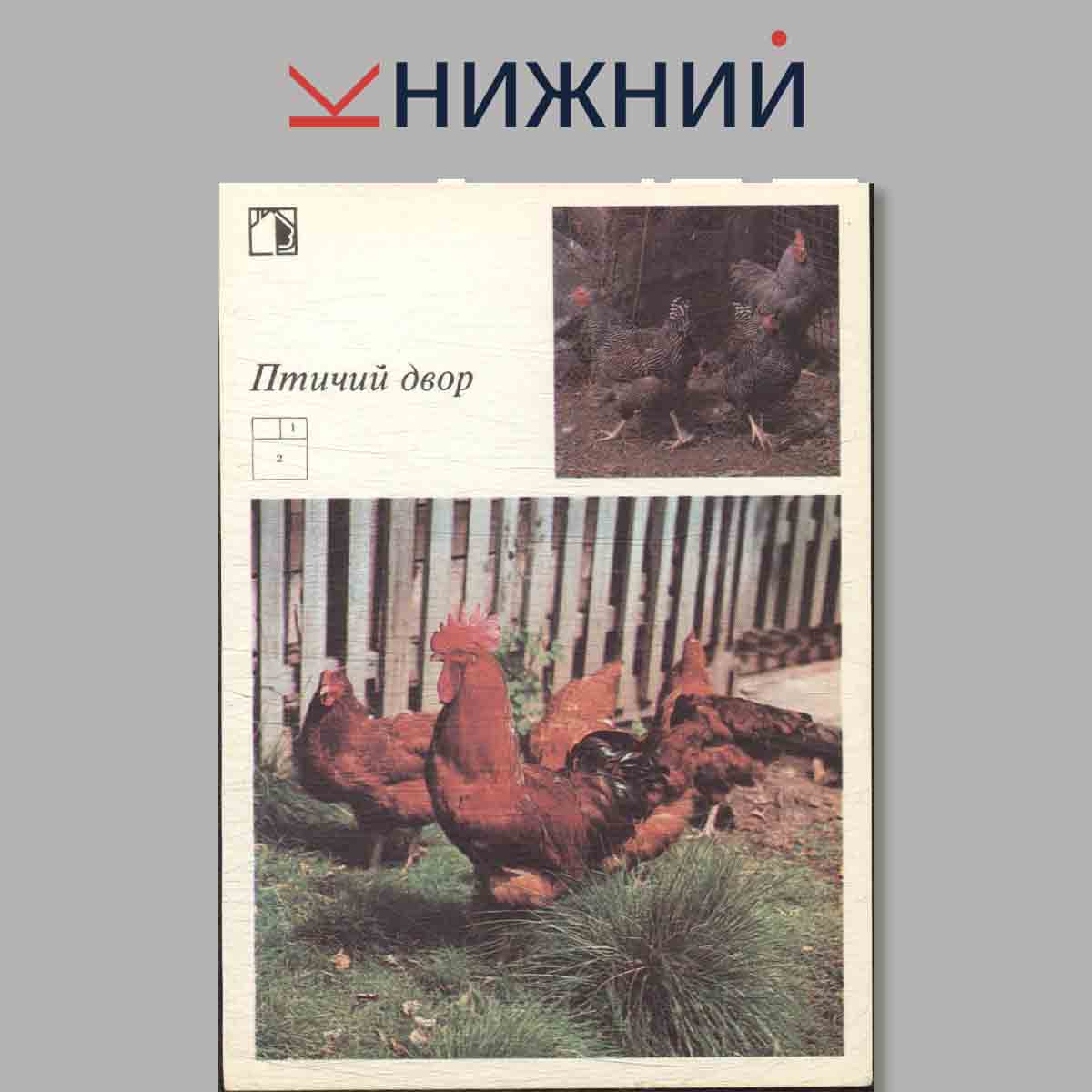 Набор открыток. Ваш приусадебный участок. Птичий двор. Выпуск 5.