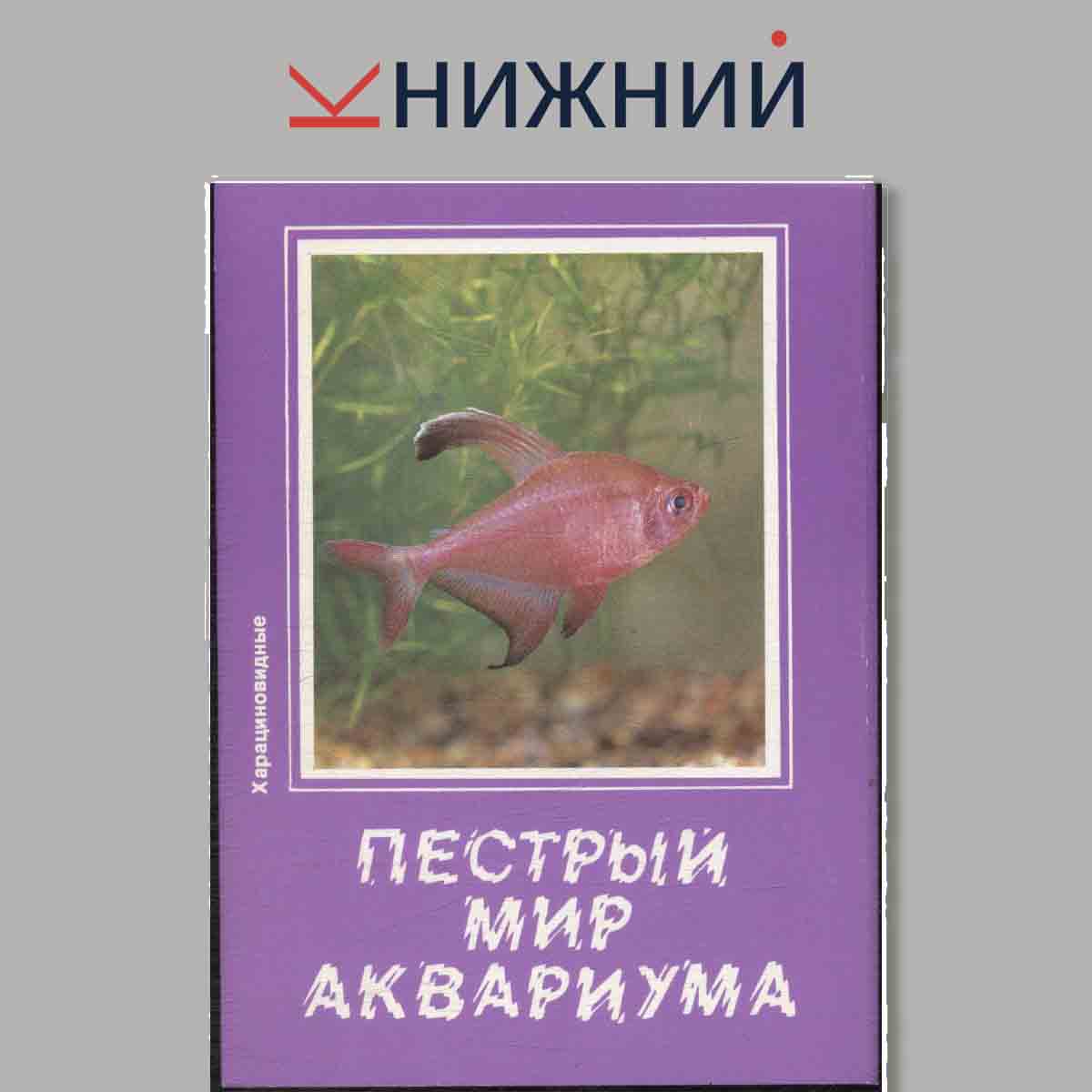 Набор открыток. Пестрый мир аквариума. Выпуск 6. Харациновидные.