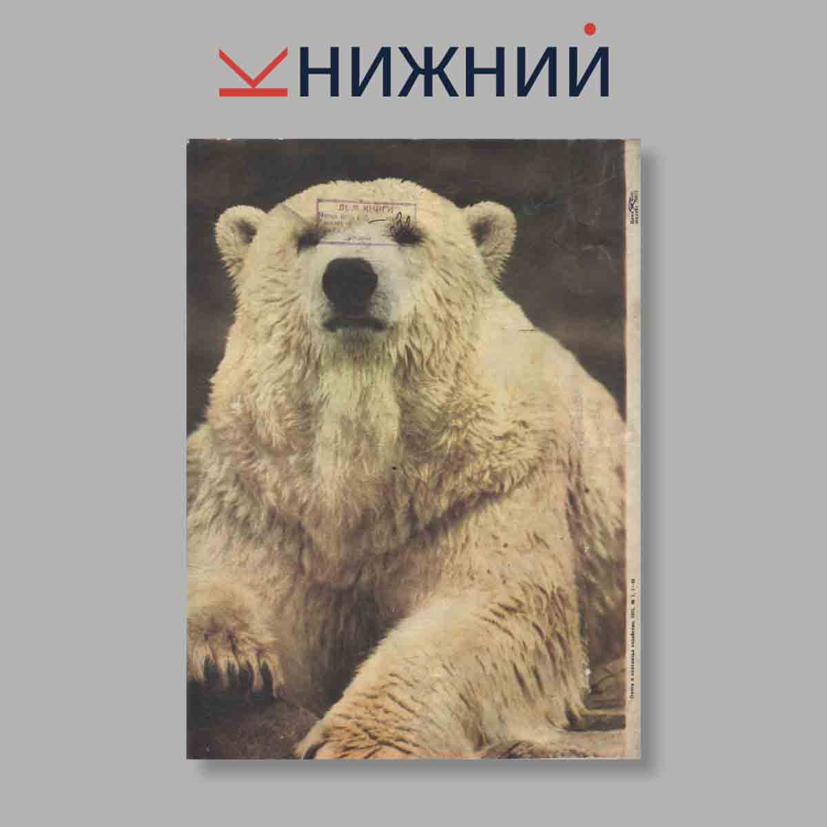 Журнал Охота и охотничье хозяйство. Выпуск № 1, 1975