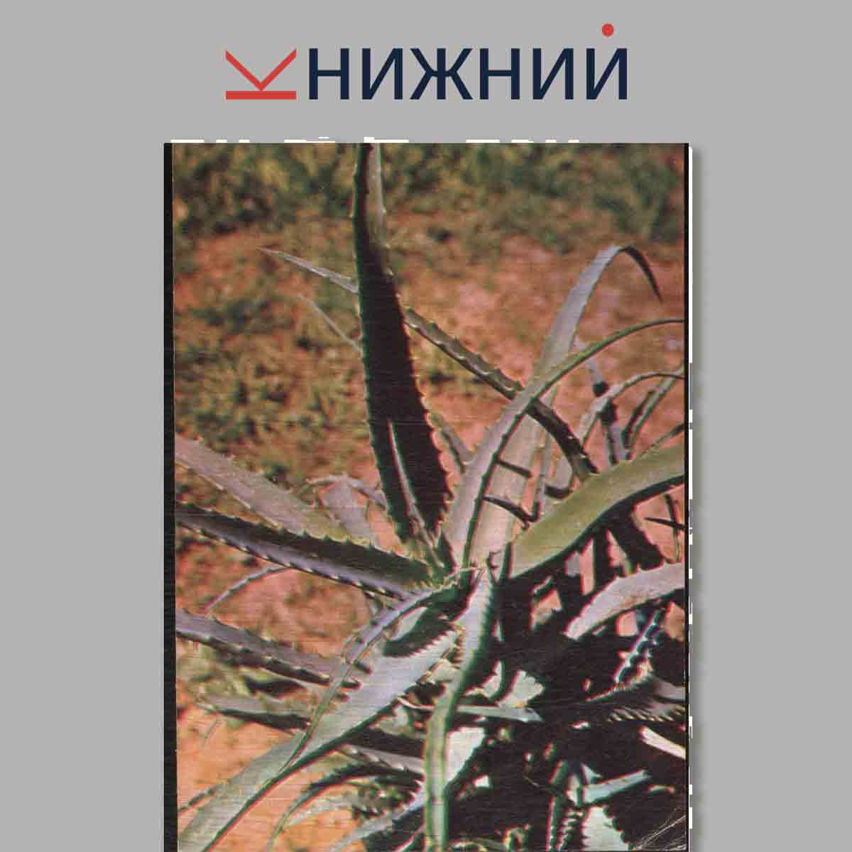 Набор открыток. Экскурсия в природу. Лекарственные растения. Выпуск 4.