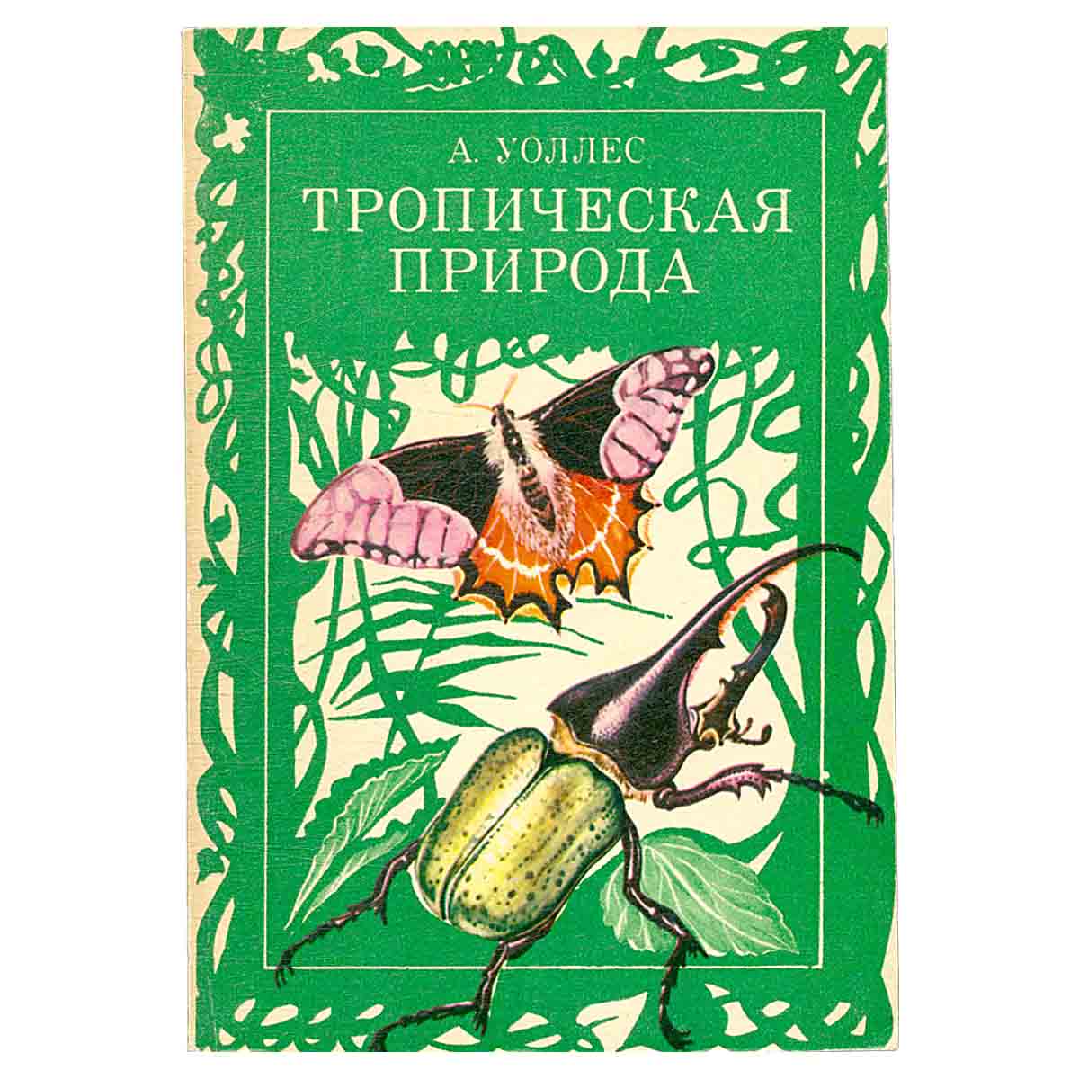 Тропическая природа