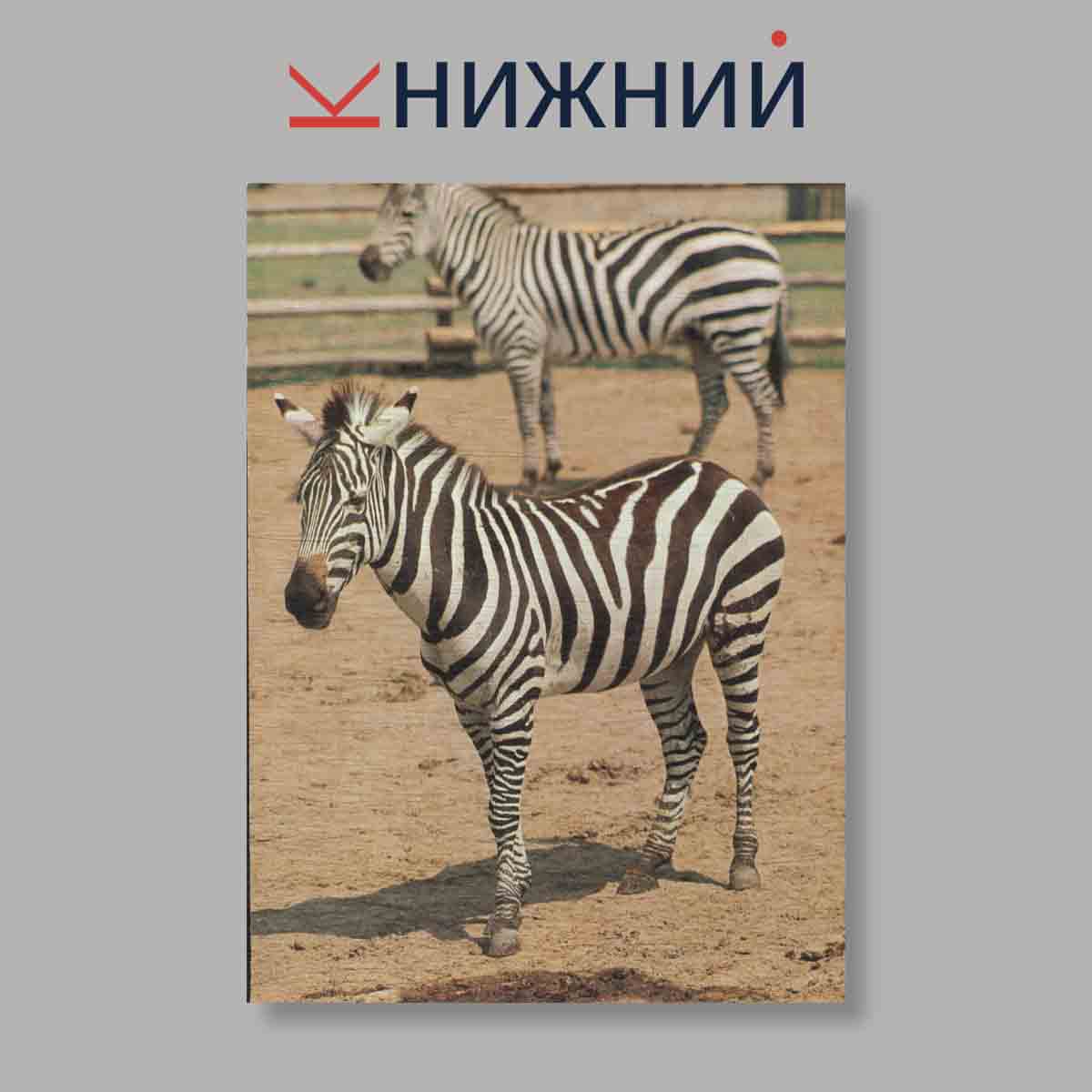 Набор открыток. "Pozvani Do Zoo"
