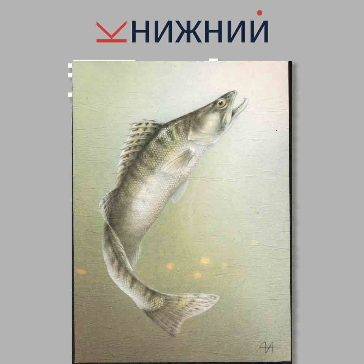 Набор открыток. Рыболову любителю.