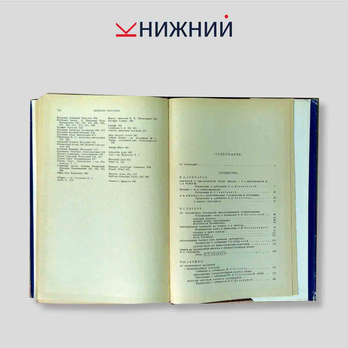 Из истории русской литературы и общественной мысли 1860-1890-х годов (Литературное наследство. Том 87)