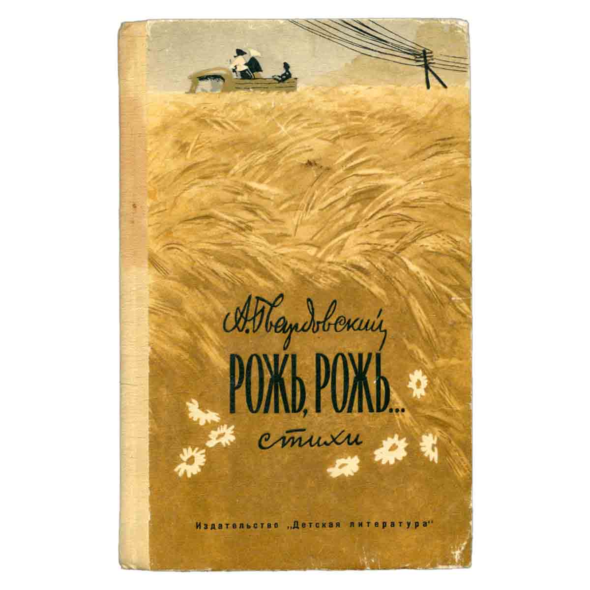 Рожь, рожь…
