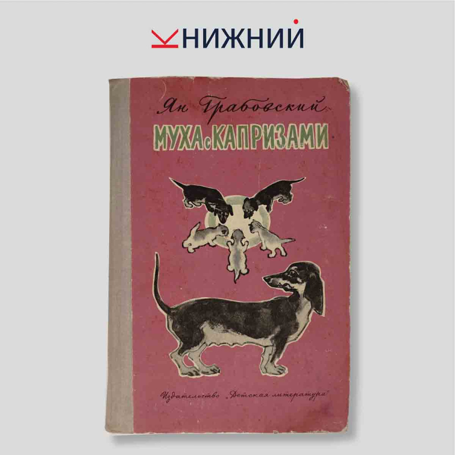 Муха с капризами