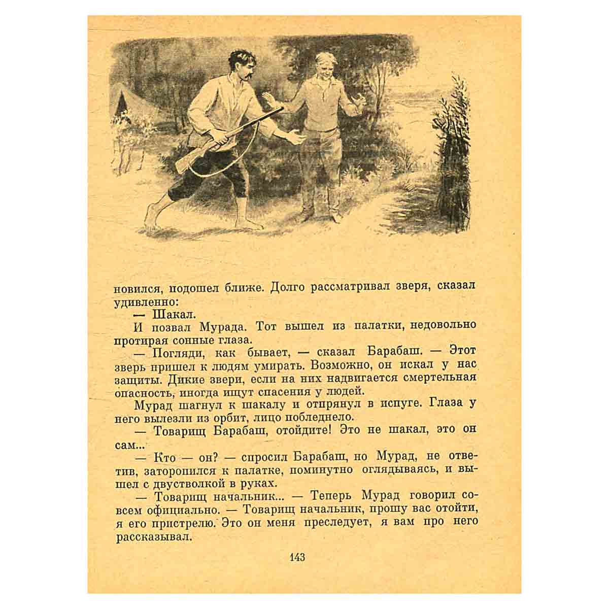 Там, где засыпает солнце
