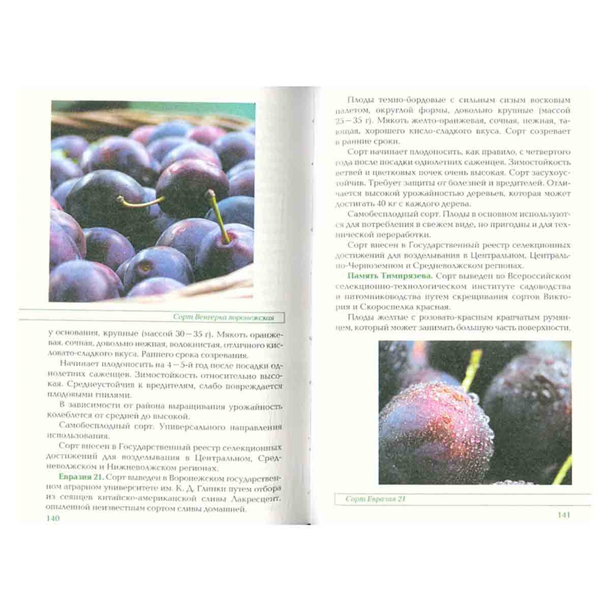 Плодовые деревья. Лучшие сорта