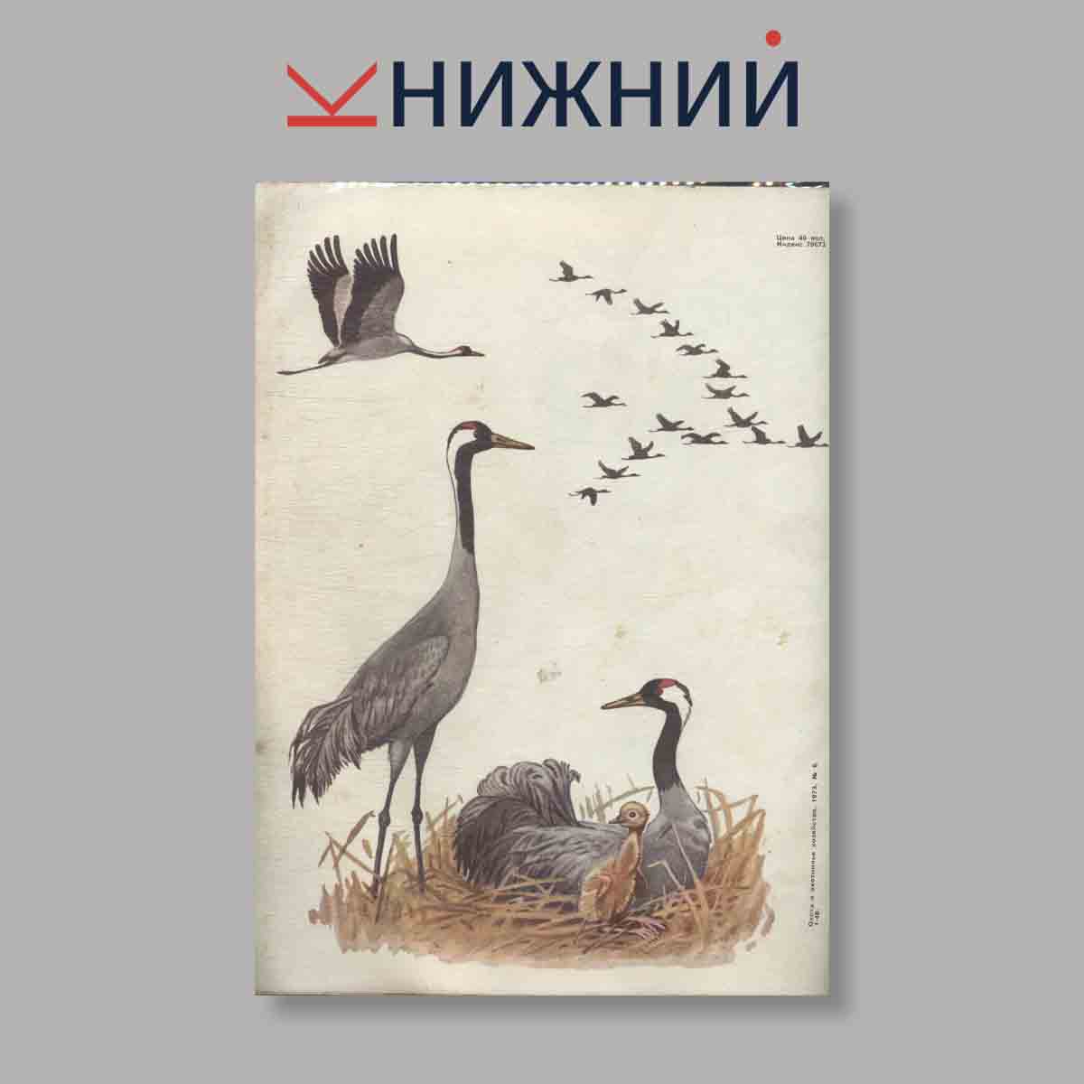 Журнал Охота и охотничье хозяйство. Выпуск № 6, 1973