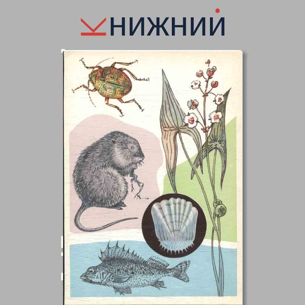 Набор открыток. У водоёма.