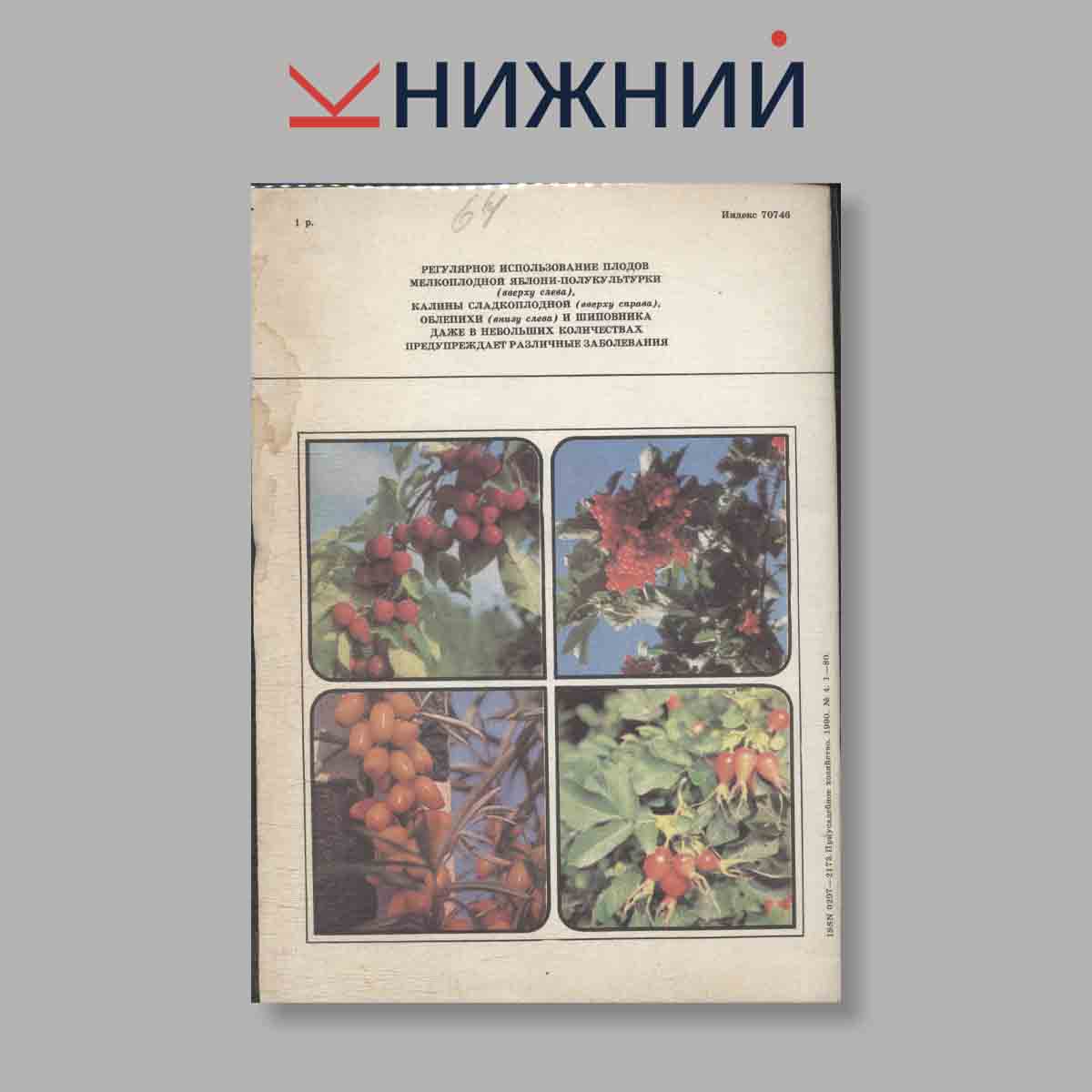 Журнал Приусадебное хозяйство. Выпуск № 4, 1990