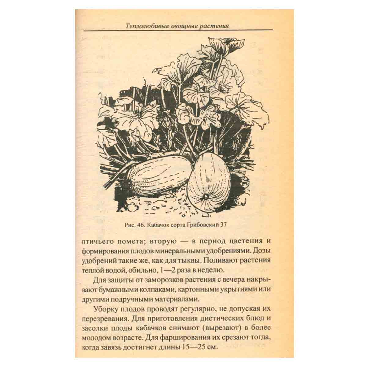 Огород - кормилец: Урожайные грядки