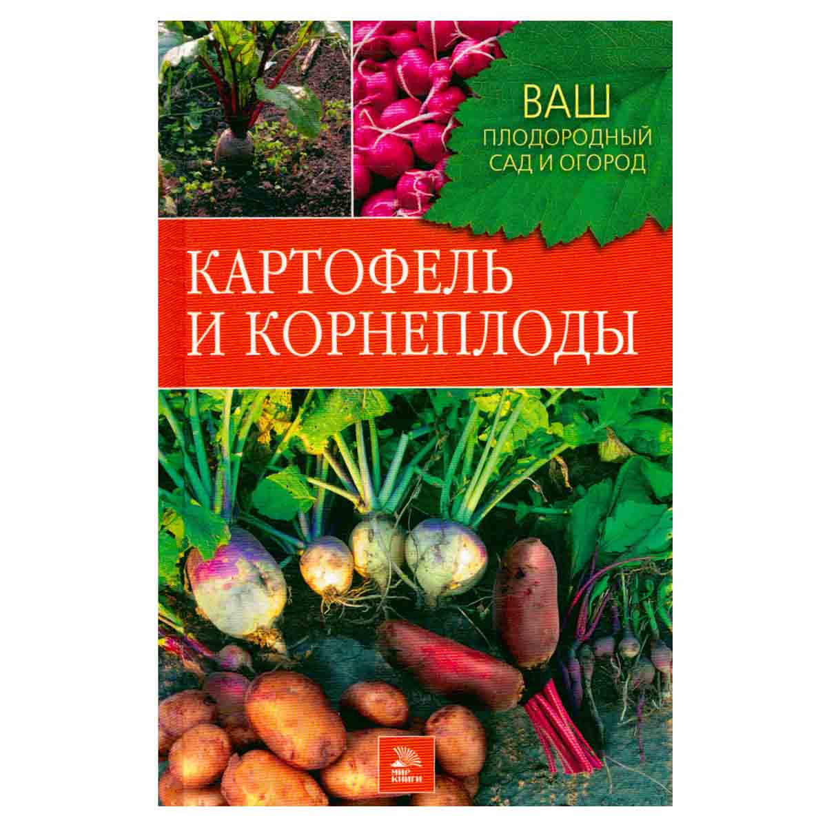 Картофель и корнеплоды