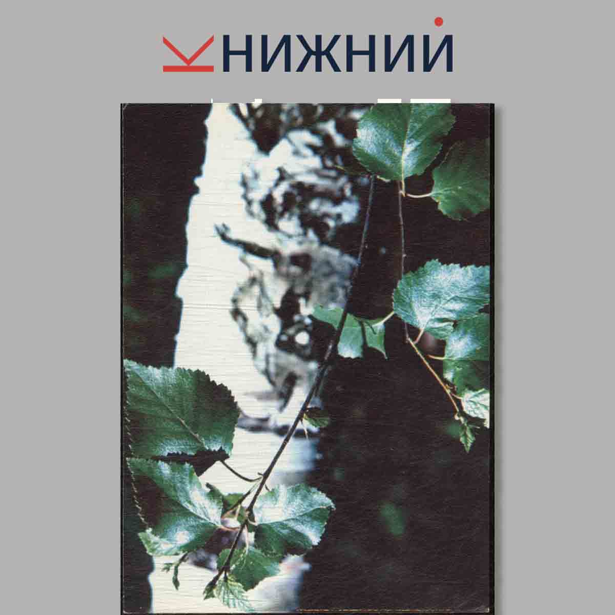 Набор открыток. Экскурсия в природу. Лекарственные растения. Выпуск 4.