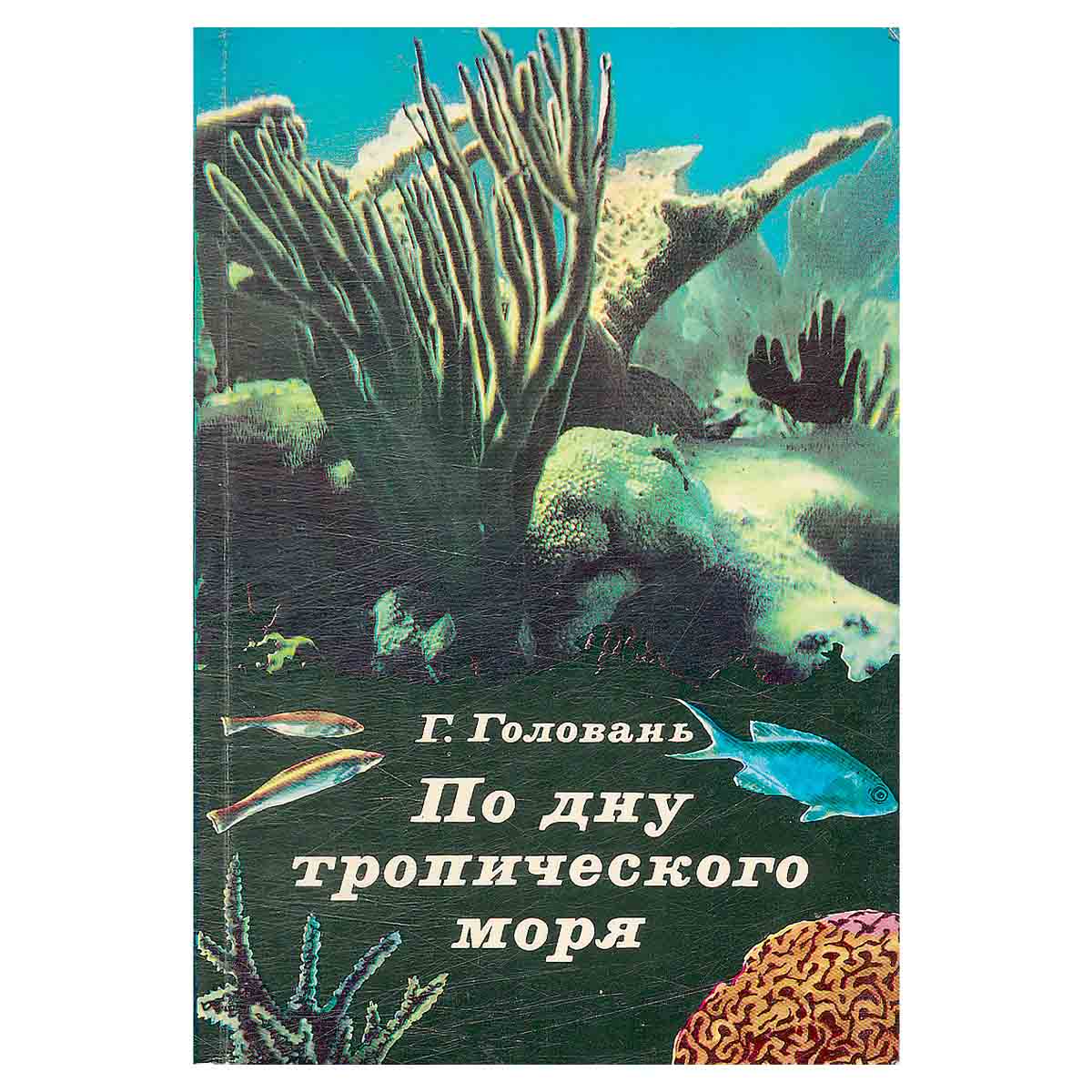 По дну тропического моря