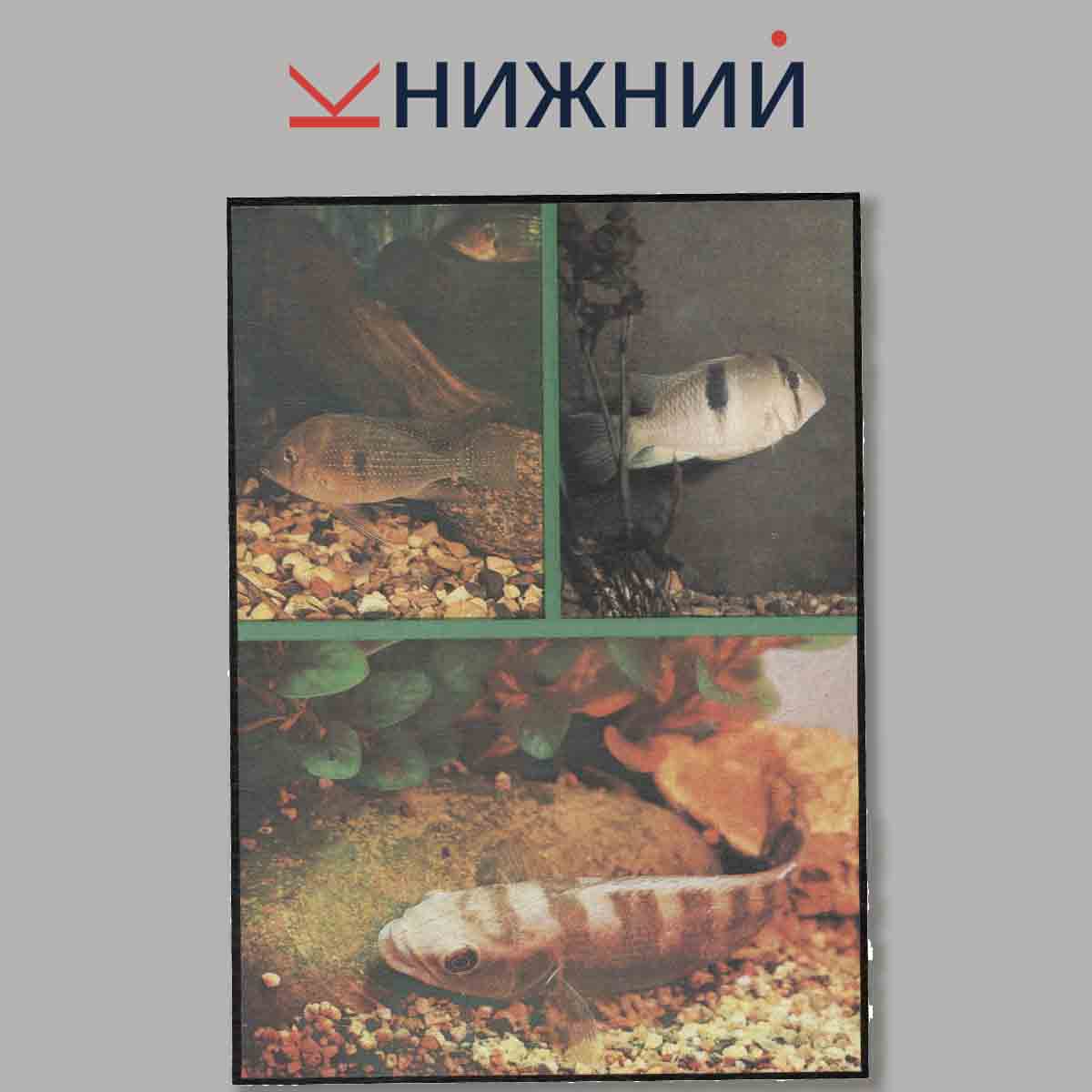 Набор открыток. Пестрый мир аквариума. Выпуск 7.