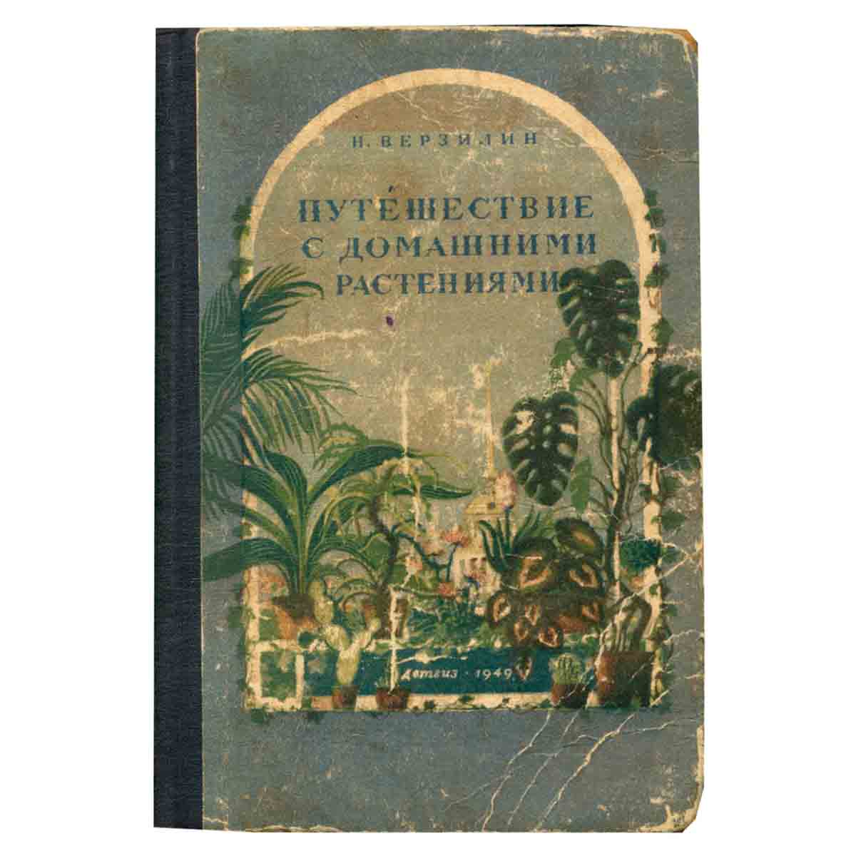 Путешествие с домашними растениями